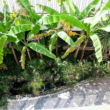 מלון Garden 3*